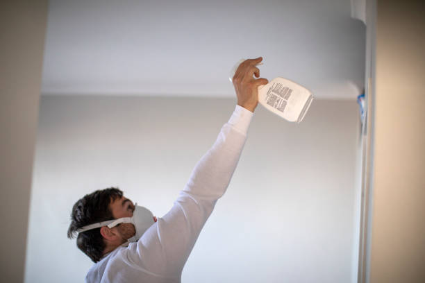 Mold Removal Process in Grand Meadow, MN