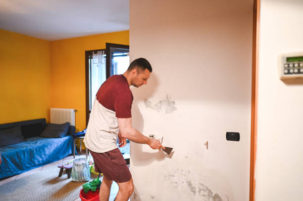 Best Mold Remediation  in Grand Meadow, MN